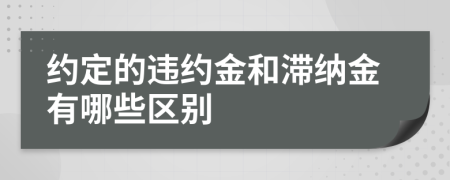 約定的違約金和滯納金有哪些區(qū)別