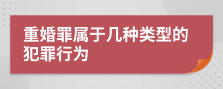 重婚罪屬于幾種類型的犯罪行為