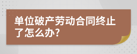 單位破產(chǎn)勞動合同終止了怎么辦?