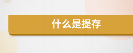 什么是提存