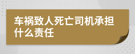 車禍致人死亡司機(jī)承擔(dān)什么責(zé)任