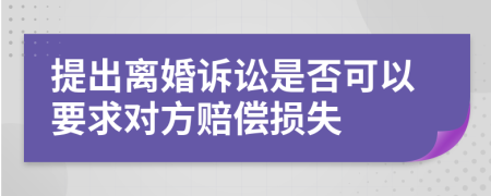 提出離婚訴訟是否可以要求對(duì)方賠償損失