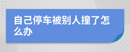 自己停車被別人撞了怎么辦