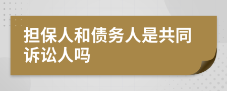 擔(dān)保人和債務(wù)人是共同訴訟人嗎