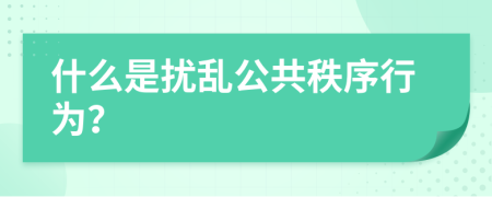 什么是擾亂公共秩序行為？