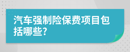 汽車強(qiáng)制險(xiǎn)保費(fèi)項(xiàng)目包括哪些?