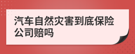 汽車自然災(zāi)害到底保險公司賠嗎