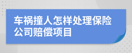 車(chē)禍撞人怎樣處理保險(xiǎn)公司賠償項(xiàng)目