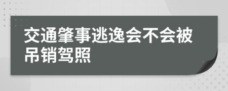 交通肇事逃逸會不會被吊銷駕照