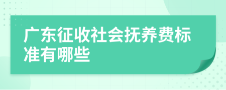 廣東征收社會撫養(yǎng)費(fèi)標(biāo)準(zhǔn)有哪些