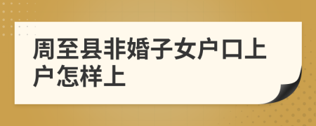 周至縣非婚子女戶口上戶怎樣上