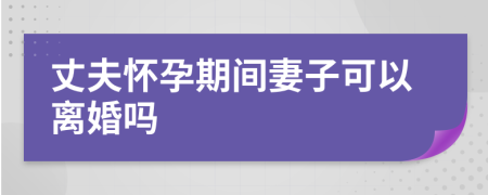 丈夫懷孕期間妻子可以離婚嗎