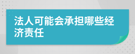 法人可能會(huì)承擔(dān)哪些經(jīng)濟(jì)責(zé)任