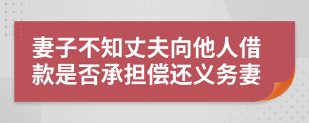 妻子不知丈夫向他人借款是否承擔(dān)償還義務(wù)妻