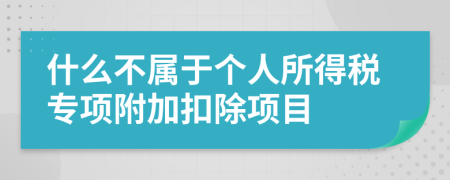 什么不屬于個(gè)人所得稅專項(xiàng)附加扣除項(xiàng)目