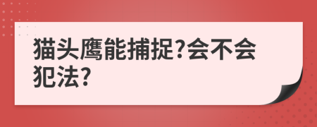貓頭鷹能捕捉?會(huì)不會(huì)犯法?