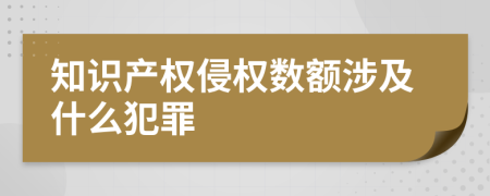 知識(shí)產(chǎn)權(quán)侵權(quán)數(shù)額涉及什么犯罪
