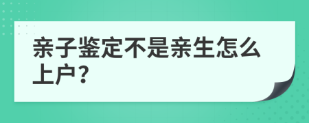 親子鑒定不是親生怎么上戶？