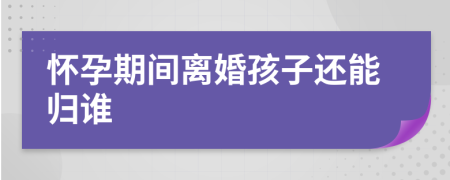 懷孕期間離婚孩子還能歸誰