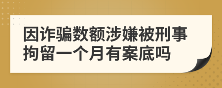 因詐騙數(shù)額涉嫌被刑事拘留一個(gè)月有案底嗎