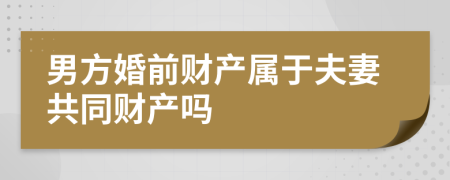 男方婚前財產(chǎn)屬于夫妻共同財產(chǎn)嗎
