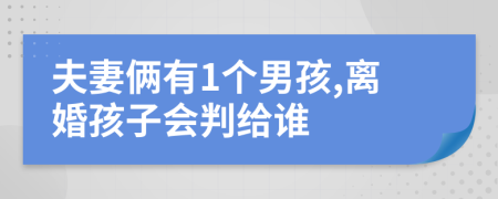 夫妻倆有1個男孩,離婚孩子會判給誰
