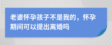 老婆懷孕孩子不是我的，懷孕期間可以提出離婚嗎