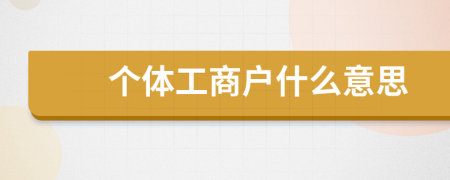 個體工商戶什么意思