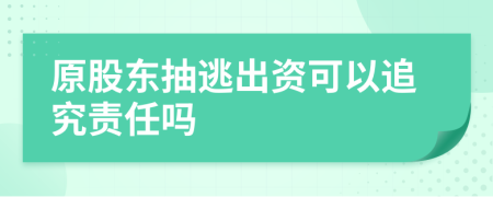 原股東抽逃出資可以追究責(zé)任嗎