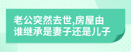 老公突然去世,房屋由誰繼承是妻子還是兒子