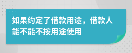 如果約定了借款用途，借款人能不能不按用途使用