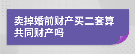 賣掉婚前財(cái)產(chǎn)買二套算共同財(cái)產(chǎn)嗎