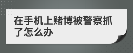 在手機(jī)上賭博被警察抓了怎么辦