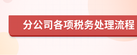 分公司各項(xiàng)稅務(wù)處理流程