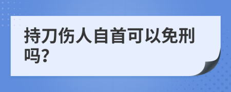 持刀傷人自首可以免刑嗎？