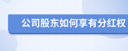 公司股東如何享有分紅權(quán)