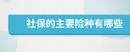 社保的主要險(xiǎn)種有哪些