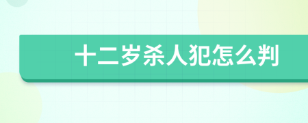 十二歲殺人犯怎么判