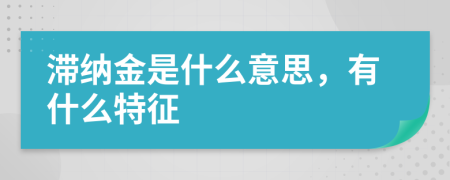 滯納金是什么意思，有什么特征