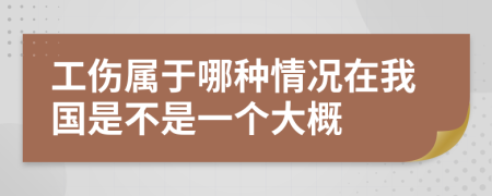 工傷屬于哪種情況在我國(guó)是不是一個(gè)大概