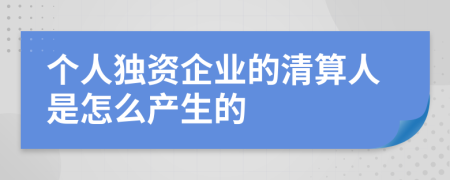 個(gè)人獨(dú)資企業(yè)的清算人是怎么產(chǎn)生的