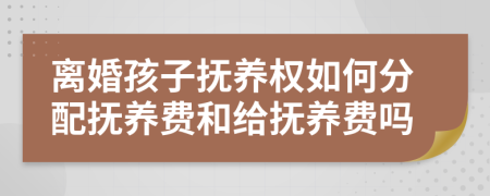 離婚孩子撫養(yǎng)權(quán)如何分配撫養(yǎng)費(fèi)和給撫養(yǎng)費(fèi)嗎