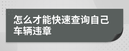 怎么才能快速查詢自己車輛違章