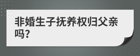非婚生子撫養(yǎng)權(quán)歸父親嗎？