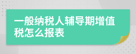 一般納稅人輔導(dǎo)期增值稅怎么報(bào)表