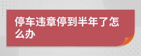 停車違章停到半年了怎么辦