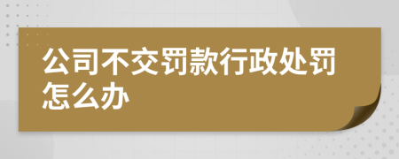 公司不交罰款行政處罰怎么辦