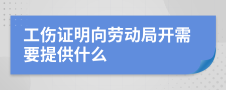 工傷證明向勞動局開需要提供什么