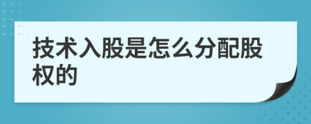 技術(shù)入股是怎么分配股權(quán)的