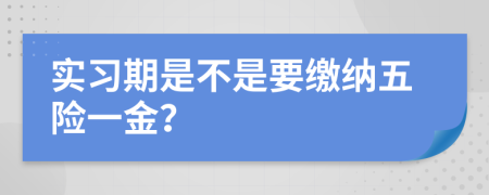 實(shí)習(xí)期是不是要繳納五險一金？